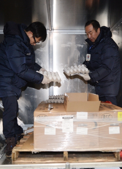 농림축산식품부 직원들이 12일 인천국제공항에서 아시아나 항공편을 통해 도착한 미국산 계란들의 상태를 확인하고 있다. 박윤슬 기자 seul@seoul.co.kr