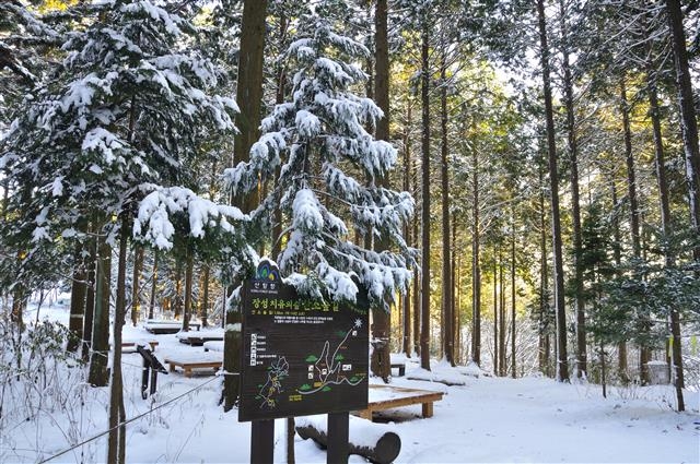 장성 치유의숲 산소숲길 안내판. 장성군 제공