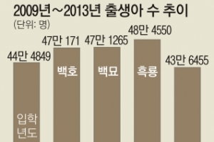 백호·백묘·흑룡띠 효과 초교 입학생 반짝 증가