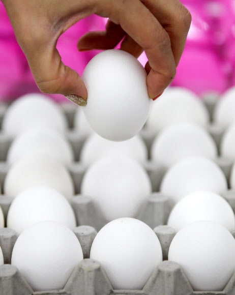 미국산 수입 계란 연합뉴스