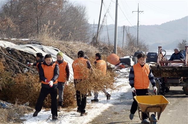 24일 충남 청양군 아산리에서 한화그룹 신임 임원들이 농촌의 일손을 돕고 있다. 한화그룹 제공