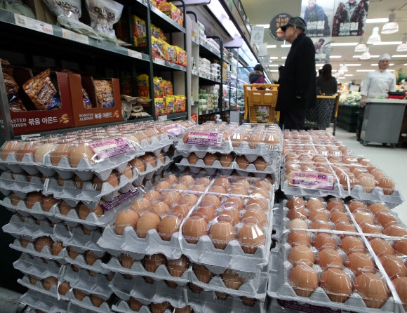 계란 평균 소매가, 19일만에 다시 8천원대로