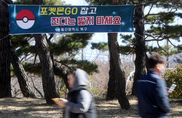 ‘포켓몬 잡고 잔디는 밟지 마세요’