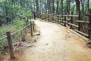 광진구, 3억원 들여 등산로 2.9㎞ 새단장
