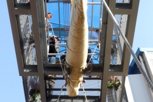 일본서 수입한 돌고래 5일 만에 1마리 폐사