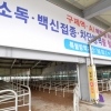 충북 보은서 구제역 2곳 추가 발생