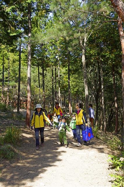 천마산 편백산림욕장을 찾은 유치원생들이 선생님 손을 잡고 나무 숲길을 거닐고 있다.  울산 북구 제공