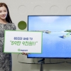 “59만원대 UHD TV”… 오늘 자정부터 500대 판매