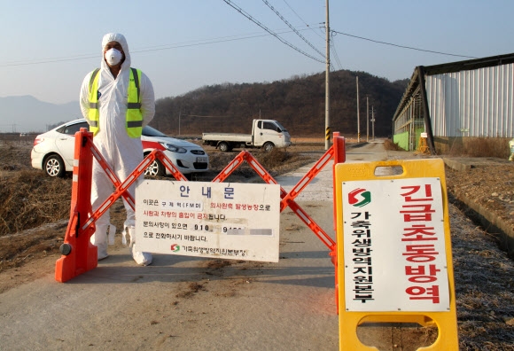 13일 충북 보은군 탄부면의 한우농장 입구에서 방역당국 관계자가 외부인의 출입을 통제하고 있다. 이날 보은에서는 2건의 구제역 발병 의심 신고가 추가로 들어왔다. 보은 연합뉴스