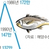 꽃게·참조기 자원 고갈 어종 어획량 年2% 줄인다