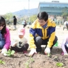 기르고 먹고 나누고 ‘1석 3조’ 도시 텃밭