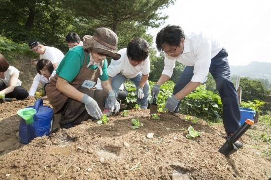김우영 은평구청장이 불광2동 향림도시농업체험원 내 텃밭에서 주민들과 밭을 가꾸고 있다. 은평구 제공