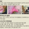 사람에 묻어, 바람에 실려 소리없이 퍼지는 구제역