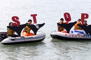 “돌고래를 바다로”