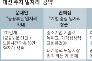 [대선이슈 집중분석] 공공부문부터 창업까지 일자리 창출 경쟁… 재원엔 침묵