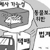 “햄스터 택배로 분양해요” 짐짝 취급 당하는 생명들