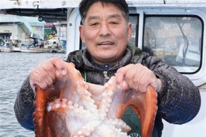 동해안 최북단 고성서 5월 ‘대문어축제’ 개막