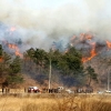 강릉 산불, 강풍으로 마을 쪽까지 번져…진화 어려워