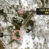 “北 6차 핵실험 움직임… 5~10년 내 ICBM 탑재”