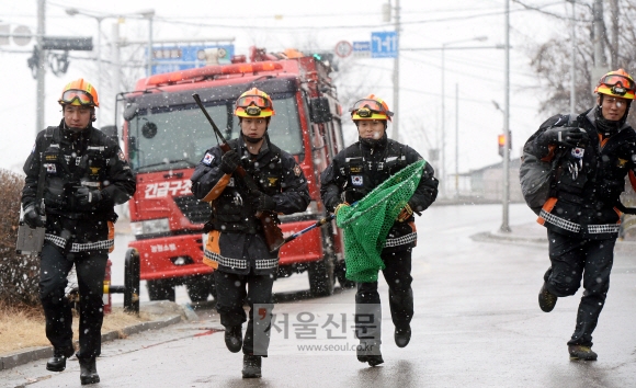 강원소방서 구조팀 대원들이 도심에 야생동물이 출몰했다는 신고를 받고 현장으로 달려가고 있다. 왼쪽부터 강민성 소방장, 송현진 소방사, 김영필 팀장, 전수호 소방장.