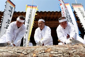 강원의  봄,  축제로  꽃피다