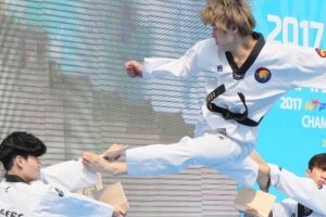 2017 태권도세계선수권대회 D-100 행사 열려