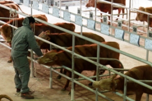 [단독]전국에서 악취가 가장 많이 나는 곳은?...강원도 원주