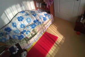 강동구의 ‘햇살복지’를 아시나요