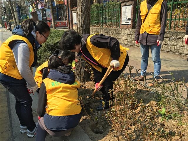 나무돌보미로 뽑힌 주민들이 광진구 내 가로수와 띠녹지를 가꾸고 있다. 광진구 제공