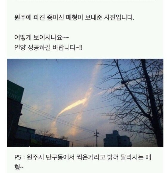 세월호 구름. 출처=온라인 커뮤니티 화면 캡처