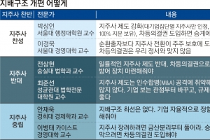 [이슈 추적] “지주사제 재검토” vs “현행보다 강화를”