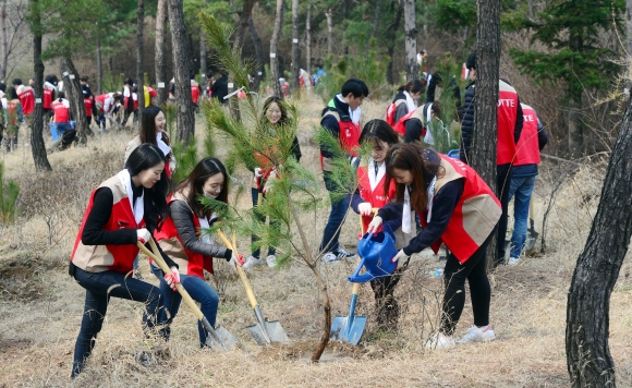 남산공원에 나무 심는시민들