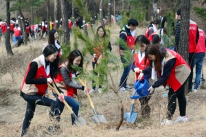 남산에 나무를 심자