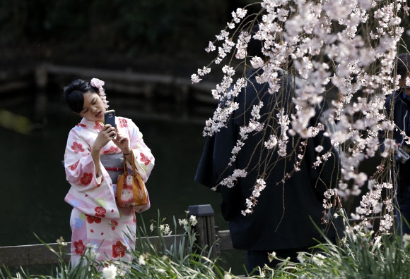 벚꽃과 함께 시작된 도쿄의 봄
