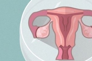 세계 최초 인공 여성생식기관 ‘에바타’ 시스템 완성