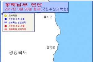 마비성 패류독소 부산 연안서 올해 첫 검출