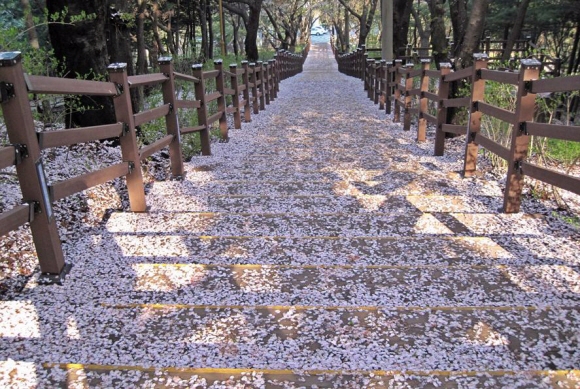 인천 수봉공원