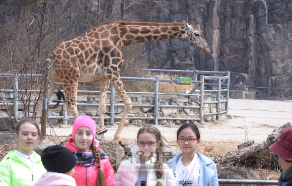 104일 만에 다시 문 연 서울대공원 동물원 