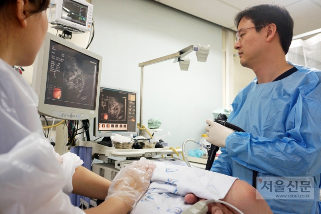 장재혁 가톨릭대 부천성모병원 교수가 췌장염 가성낭종 내시경 초음파 검사를 실시하고 있다. 가톨릭대 제공 
