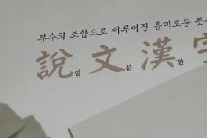 大(큰 대)와 尢(절름발이 왕)의 차이는...한자 쉽게 익히는 책 설문한자