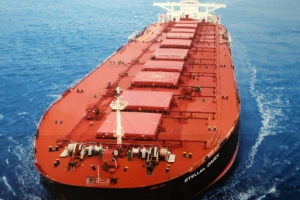 스텔라 데이지호, 실종자 수색 성과 없어…부유물만 둥둥