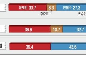 문재인-안철수 양자대결시 안철수 7.2%p차 앞서...다자구도는 여전히 문재인