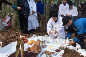 [구청장의 별별취미] 전국山 정기 잡는 ‘30년 농심마니’