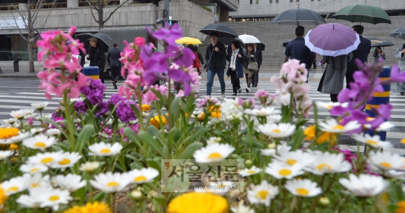 꽃잎 적시는 봄비 