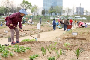 성동구 무지개텃밭서 도시농부 돼 볼까