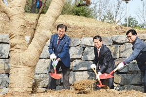 중랑 ‘먹골배 시조목’ 9년 만에 귀향