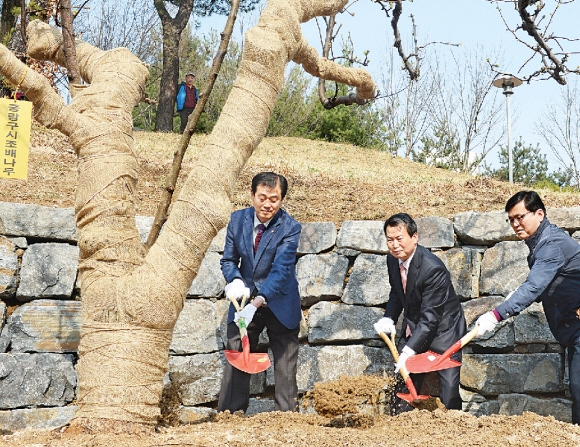 나진구(가운데) 서울 중랑구청장이 지난 4일 봉수대공원에서 참석자들과 함께 먹골배 시조목 옮겨심기 행사에 참석해 첫 삽을 뜨고 있다. 박윤슬 기자 seul@seoul.co.kr 나진구(가운데) 서울 중랑구청장이 지난 4일 봉수대공원에서 참석자들과 함께 먹골배 시조목 옮겨심기 행사에 참석해 첫 삽을 뜨고 있다. 박윤슬 기자 seul@seoul.co.kr