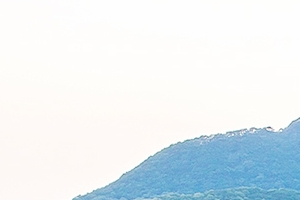 봄의 끝자락 새로 시작되는 선홍빛 꽃의 향연, 군포 철쭉축제 오는 28일 개막