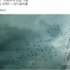 ‘지진 전조 영상’ 눌러보니 도박사이트 광고
