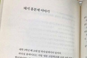 홍준표 과거 에세이 ‘돼지 흥분제 이야기’ 내용 논란